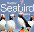 Link to www.seabird.org