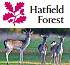 Link to www.nationaltrust.org.uk/hatfield-forest