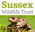 Link to www.sussexwt.org.uk