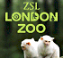 Link to www.zsl.org/zsl-london-zoo