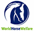 Link to www.worldhorsewelfare.org