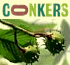 Link to www.visitconkers.com
