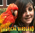 Link to www.tropicalbirdland.com