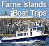 Link to www.farne-islands.com