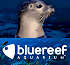 Link to www.bluereefaquarium.co.uk