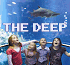 Link to www.thedeep.co.uk