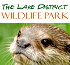 Link to www.lakedistrictwildlifepark.com