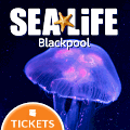 Link to www.visitsealife.com