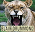 Link to www.blairdrummond.com