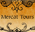 Link to www.mercattours.com