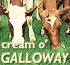 Link to www.creamogalloway.co.uk