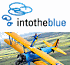 Link to the Into The Blue website