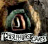 Link to www.chislehurst-caves.co.uk