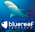 Link to www.bluereefaquarium.co.uk