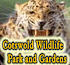 Link to www.cotswoldwildlifepark.co.uk