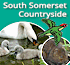 Link to www.southsomersetcountryside.com