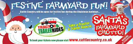 Christmas at Cattle Country Christmas at Cattle Country