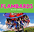Link to www.flambards.co.uk
