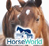 Link to www.horseworld.org.uk