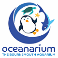 Link to www.oceanarium.co.uk