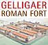 Link to www.romangelligaer.org