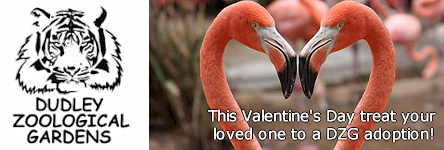 Dudley Zoo - This Valentine's Day Treat your Loved One to a DZG Adoption!